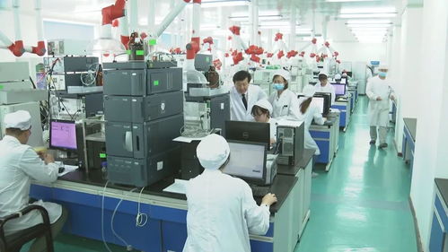 吉林创新指数跃升全国第一，科技强国战略下的东北振兴新篇章