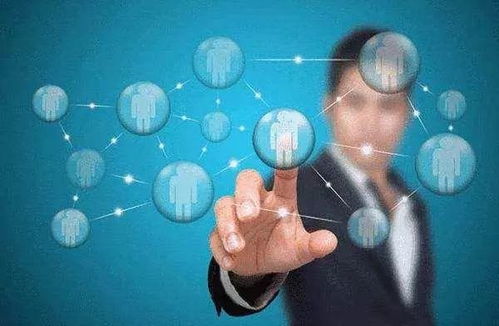 理科就业率排名前十的热门专业 聚焦网络科技与计算机领域